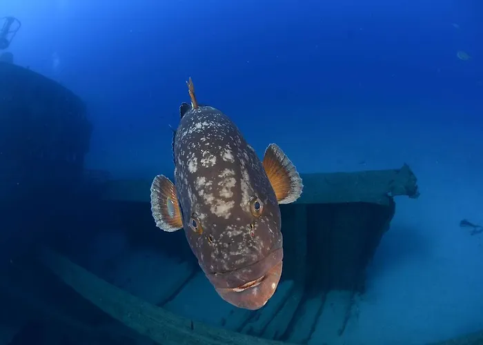 Villa Espirito Santo *